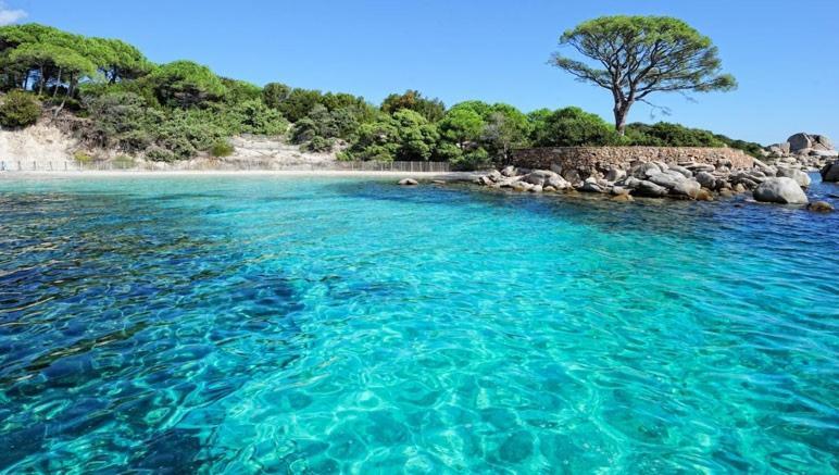 Nouvel Location D'Un Bel Appart T2 Climatise Et Meuble Au Rdch Avec Piscine Dans Residence Les Melody Santa-Maria-Poggio  Dış mekan fotoğraf